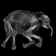 Illustration for article titled First Detailed Look Inside the Childhood of a Lost Species